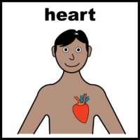 illustration of man showing his heart