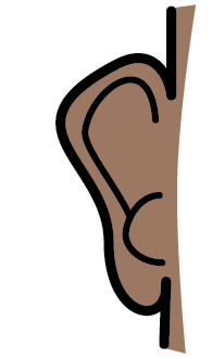 illustration of an ear